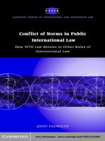 Conflict of Norms in Public International Law How WTO Law Relates to other Rules of International Law doc