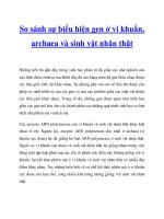 So sánh sự biểu hiện gen ở vi khuẩn, archaea và sinh vật nhân thật pptx