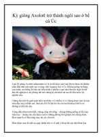 Kỳ giông Axolotl trở thành ngôi sao ở bể cá Úc doc