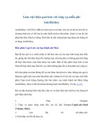 Làm việc hiệu quả hơn với công cụ miễn phí AutoHotkey pptx