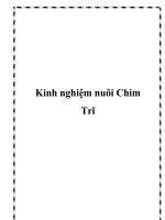Kinh nghiệm nuôi Chim Trĩ doc