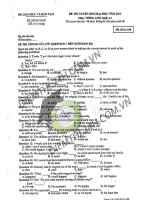 Đề thi đại học môn Tiếng anh năm 2013 - Mã đề 248 - Khối A pot