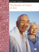 The Burden of Cancer in Asia doc