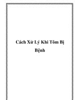 Cách Xử Lý Khi Tôm Bị Bệnh potx