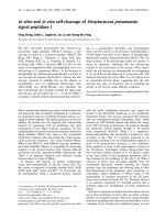 Báo cáo khoa học: In vitro and in vivo self-cleavage of Streptococcus pneumoniae signal peptidase I pot