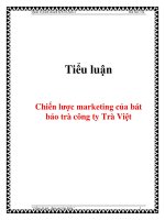 Tiểu luận: Chiến lược marketing của bát bảo trà công ty Trà Việt pptx