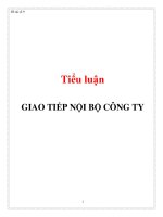 Tiểu luận: GIAO TIẾP NỘI BỘ CÔNG TY potx