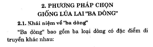 Phương pháp chọn giống lúa lai 
