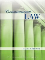 Constitutional LAW twelfth edition docx