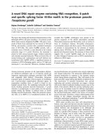 Báo cáo Y học: A novel DNA repair enzyme containing RNA recognition, G-patch and speciﬁc splicing factor 45-like motifs in the protozoan parasite Toxoplasma gondii potx