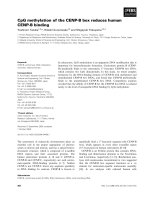 Báo cáo khoa học: CpG methylation of the CENP-B box reduces human CENP-B binding pptx