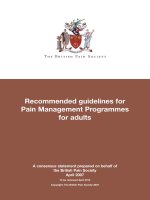 Recommended guidelines for Pain Management Programmes for adults pptx