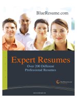 Expert Resumes ppt