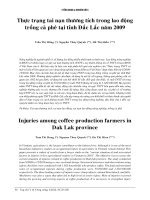 THỰC TRẠNG TAI NẠN THƯƠNG TÍCH TRONG LAO ĐỘNG TRỒNG CÀ PHÊ TẠI TỈNH ĐẮC LẮC NĂM 2009 docx