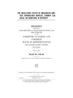 THE REGULATORY STATUS OF BROADBAND SERV- ICES: INFORMATION SERVICES, COMMON CAR- RIAGE, OR SOMETHING IN BETWEEN? docx