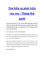 Tìm hiểu sự phát triển của con - Tháng thứ mười pot