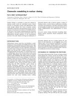 Báo cáo Y học: Chromatin remodeling in nuclear cloning pptx