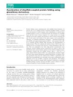 Báo cáo khoa học: Acceleration of disulﬁde-coupled protein folding using glutathione derivatives potx
