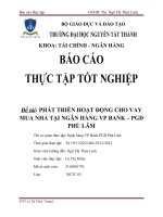 Đề tài: PHÁT TRIỂN HOẠT ĐỘNG CHO VAY MUA NHÀ TẠI NGÂN HÀNG VP BANK – PGD PHÚ LÂM pdf