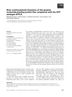 Báo cáo khoa học: Slow conformational dynamics of the guanine nucleotide-binding protein Ras complexed with the GTP analogue GTPcS pot