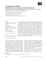 Báo cáo khoa học: It’s cheap to be colorful Anthozoans show a slow turnover of GFP-like proteins potx