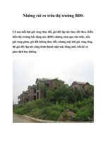 Những rủi ro trên thị trường BĐS potx