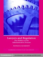 LAWYERS AND REGULATION The Politics of the Administrative Process doc