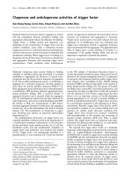 Báo cáo khoa học: Chaperone and antichaperone activities of trigger factor pdf