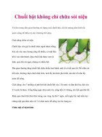 Chuối hột không chỉ chữa sỏi niệu pdf