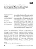 Báo cáo khoa học: A unique binding epitope for salvinorin A, a non-nitrogenous kappa opioid receptor agonist docx