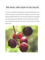 Bài thuốc chữa bệnh từ sắn thuyền potx