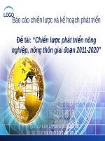 đề tài chiến lược phát triển nông nghiệp, nông thôn giai đoạn 2011 - 2020
