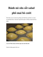 Bánh mì sữa sốt salad phô mai bò cười potx