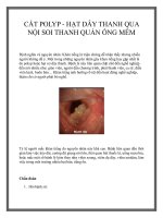 CẮT POLYP - HẠT DÂY THANH QUA NỘI SOI THANH QUẢN ỐNG MỀM potx