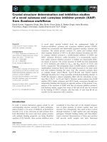 Báo cáo khoa học: Crystal structure determination and inhibition studies of a novel xylanase and a-amylase inhibitor protein (XAIP) from Scadoxus multiﬂorus pot