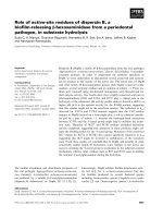 Báo cáo khoa học: Role of active-site residues of dispersin B, a bioﬁlm-releasing b-hexosaminidase from a periodontal pathogen, in substrate hydrolysis pptx