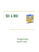 SDI & MDI - ThS. Nguyễn Hà Giang pdf
