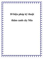 10 biện pháp kỹ thuật thâm canh cây Mía pdf