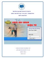 Khai baó Haỉ quan điêṇ tử pptx