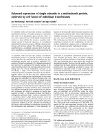 Báo cáo Y học: Balanced expression of single subunits in a multisubunit protein, achieved by cell fusion of individual transfectants docx