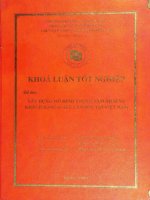 xây dựng mô hình trung tâm dịch vụ khách hàng (call center) tại việt nam