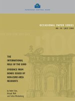 THE INTERNATIONAL ROLE OF THE EURO EVIDENCE FROM BONDS ISSUED BY NON-EURO AREA RESIDENTS docx