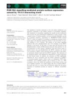 Báo cáo khoa học: PI3K⁄Akt signalling-mediated protein surface expression sensed by 14-3-3 interacting motif pot