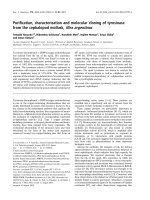 Báo cáo khoa học: Puriﬁcation, characterization and molecular cloning of tyrosinase from the cephalopod mollusk, Illex argentinus docx