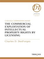 THE COMMERCIAL EXPLOITATION OF INTELLECTUAL PROPERTY RIGHTS BY LICENSING docx
