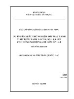 Dự án sản xuất thử nghiệm bột màu xanh doc