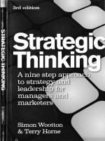 Strategic thinking: A nine step approach to strategy and leadership for managers and marketers