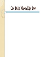Các Điều Khiển Đặc Biệt pdf