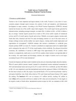 South Asia as a Tourism Orbit Formulating a Regional Tourism Strategy