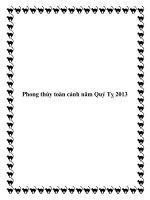 Phong thủy toàn cảnh năm Quý Tỵ 2013 pot
